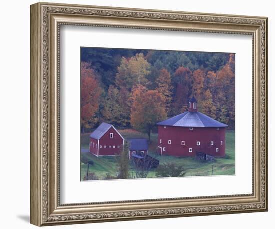 Red Round Barn in Autumn, East Barnet, Vermont, USA-Darrell Gulin-Framed Photographic Print