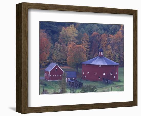 Red Round Barn in Autumn, East Barnet, Vermont, USA-Darrell Gulin-Framed Photographic Print