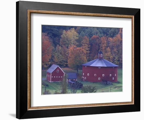 Red Round Barn in Autumn, East Barnet, Vermont, USA-Darrell Gulin-Framed Photographic Print