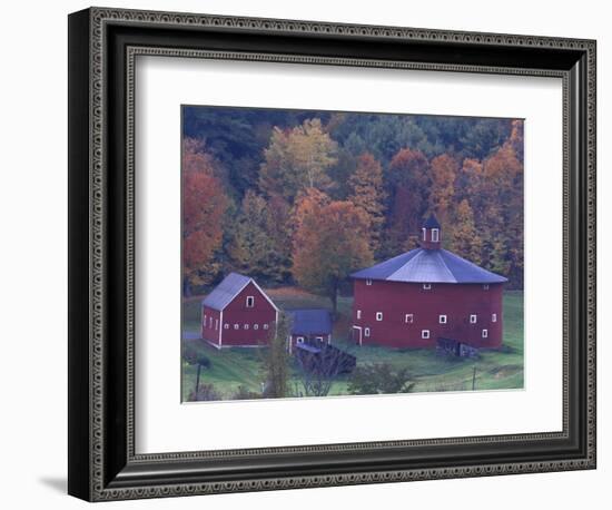 Red Round Barn in Autumn, East Barnet, Vermont, USA-Darrell Gulin-Framed Photographic Print