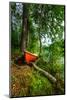 Red Row Boat in the forest, Hogland Island, Finland-null-Mounted Photographic Print