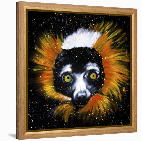 Red Ruffed Lemur-null-Framed Stretched Canvas