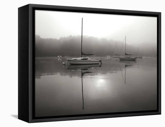 Red Sail - BW-Tammy Putman-Framed Premier Image Canvas