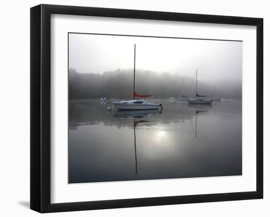 Red Sail-Tammy Putman-Framed Photographic Print