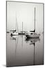 Red Sailboat I - BW-Tammy Putman-Mounted Photographic Print