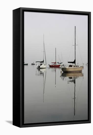 Red Sailboat I-Tammy Putman-Framed Premier Image Canvas