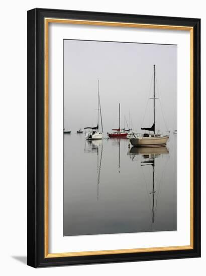 Red Sailboat I-Tammy Putman-Framed Photographic Print