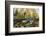 Red Salmon digging riverbed to lay eggs, Canada-Franco Banfi-Framed Photographic Print