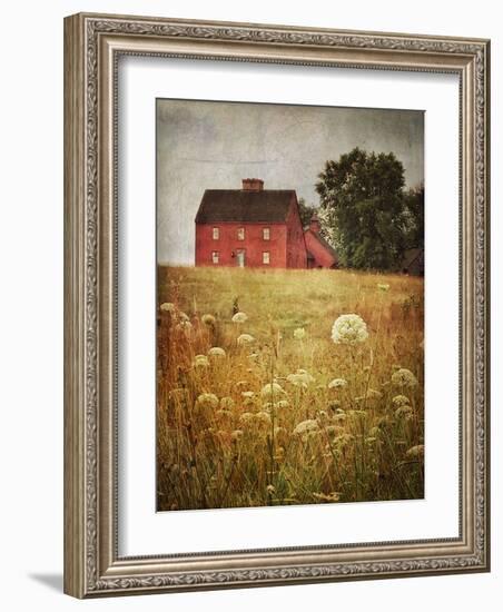 Red Saltbox-Dawne Polis-Framed Art Print