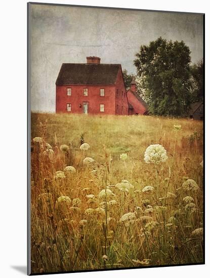 Red Saltbox-Dawne Polis-Mounted Art Print