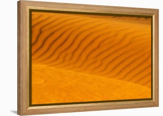 Red sand dune in southern Namib Desert, Sesriem, Hardap Region, Namibia-Keren Su-Framed Premier Image Canvas