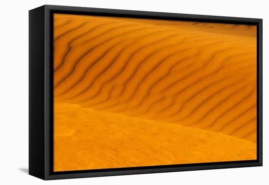 Red sand dune in southern Namib Desert, Sesriem, Hardap Region, Namibia-Keren Su-Framed Premier Image Canvas