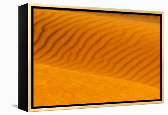 Red sand dune in southern Namib Desert, Sesriem, Hardap Region, Namibia-Keren Su-Framed Premier Image Canvas