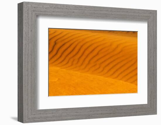 Red sand dune in southern Namib Desert, Sesriem, Hardap Region, Namibia-Keren Su-Framed Photographic Print