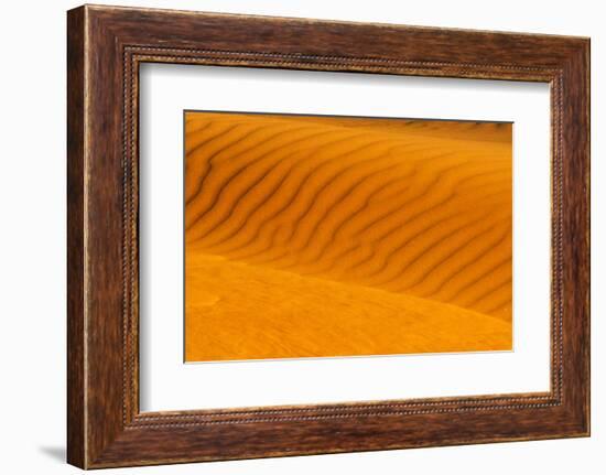 Red sand dune in southern Namib Desert, Sesriem, Hardap Region, Namibia-Keren Su-Framed Photographic Print