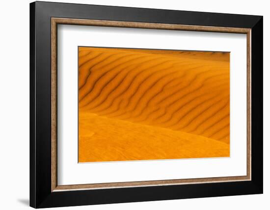 Red sand dune in southern Namib Desert, Sesriem, Hardap Region, Namibia-Keren Su-Framed Photographic Print