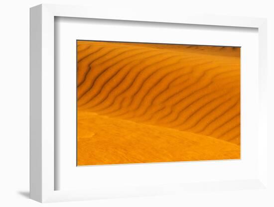 Red sand dune in southern Namib Desert, Sesriem, Hardap Region, Namibia-Keren Su-Framed Photographic Print