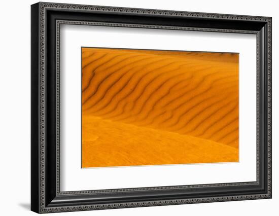 Red sand dune in southern Namib Desert, Sesriem, Hardap Region, Namibia-Keren Su-Framed Photographic Print