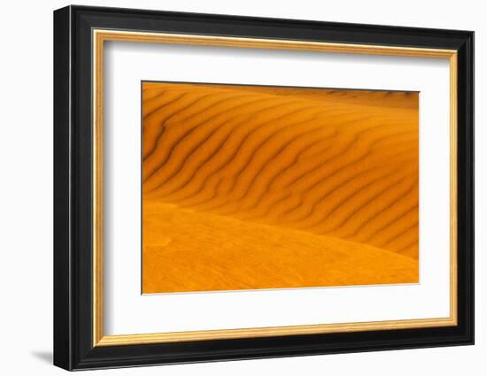 Red sand dune in southern Namib Desert, Sesriem, Hardap Region, Namibia-Keren Su-Framed Photographic Print