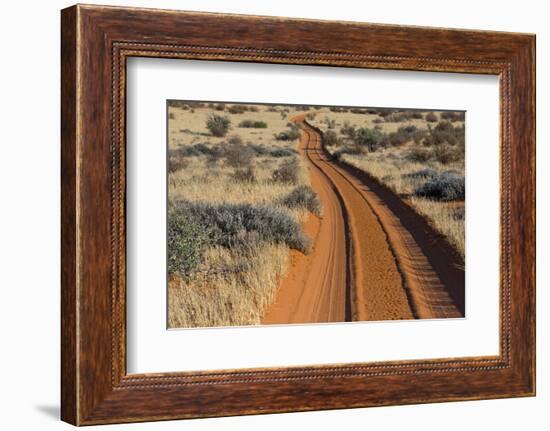 Red sand road, Kgalagadi Transfrontier Park, South Africa-Keren Su-Framed Photographic Print