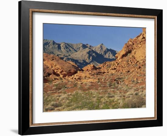 Red Sandstone Rocks, in the Valley of Fire State Park, Nevada, USA-Tomlinson Ruth-Framed Photographic Print