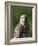 Red-Shouldered Hawk (Buteo Lineatus), J. N. "Ding" Darling National Wildlife Refuge, Florida-James Hager-Framed Photographic Print