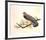 Red Shouldered Hawk-Chris Forrest-Framed Limited Edition