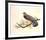 Red Shouldered Hawk-Chris Forrest-Framed Limited Edition