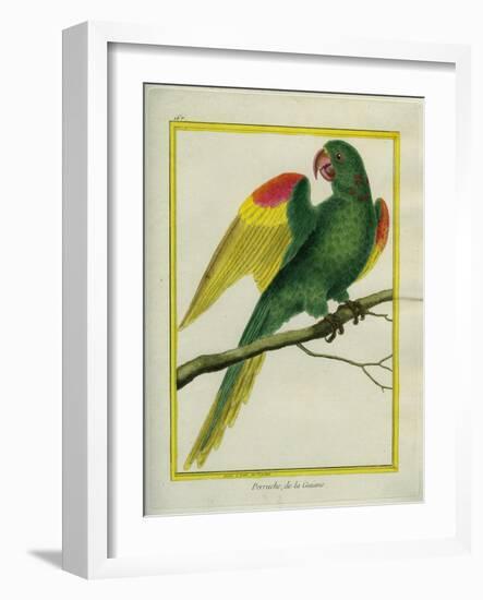 Red-Shouldered Macaw-Georges-Louis Buffon-Framed Giclee Print