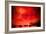 Red Sky at Night-Sharon Wish-Framed Photographic Print