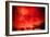 Red Sky at Night-Sharon Wish-Framed Photographic Print