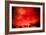 Red Sky at Night-Sharon Wish-Framed Photographic Print