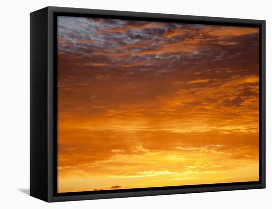 Red Sky at Sunrise over Atlantic Ocean, View from Miami Beach, Florida, USA, North America-Angelo Cavalli-Framed Premier Image Canvas