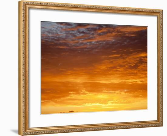 Red Sky at Sunrise over Atlantic Ocean, View from Miami Beach, Florida, USA, North America-Angelo Cavalli-Framed Photographic Print