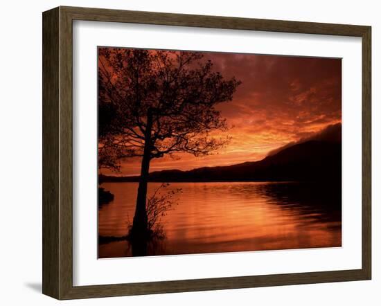 Red Sky at Sunset, Coniston Water, Consiton, Lake District, Cumbria, England, United Kingdom-Pearl Bucknall-Framed Photographic Print