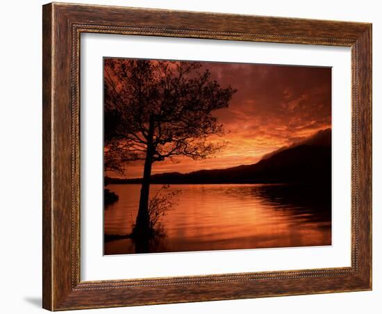 Red Sky at Sunset, Coniston Water, Consiton, Lake District, Cumbria, England, United Kingdom-Pearl Bucknall-Framed Photographic Print
