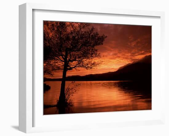 Red Sky at Sunset, Coniston Water, Consiton, Lake District, Cumbria, England, United Kingdom-Pearl Bucknall-Framed Photographic Print