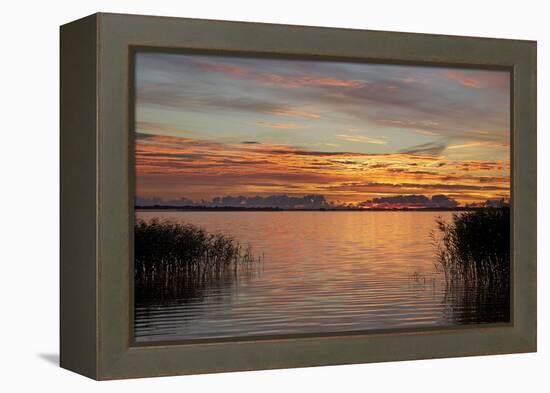 Red Sky over the Saaler Bodden Close Ahrenshoop-Uwe Steffens-Framed Premier Image Canvas