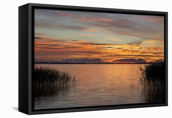 Red Sky over the Saaler Bodden Close Ahrenshoop-Uwe Steffens-Framed Premier Image Canvas