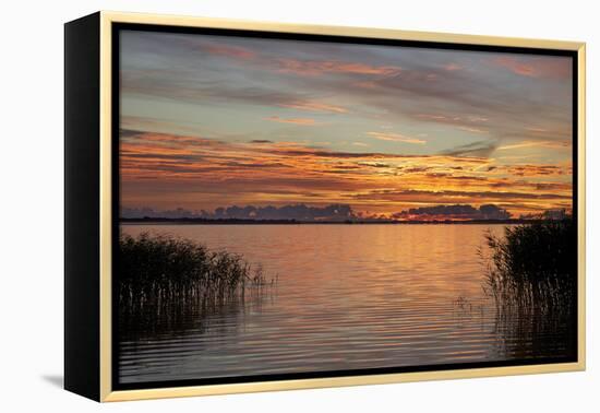 Red Sky over the Saaler Bodden Close Ahrenshoop-Uwe Steffens-Framed Premier Image Canvas