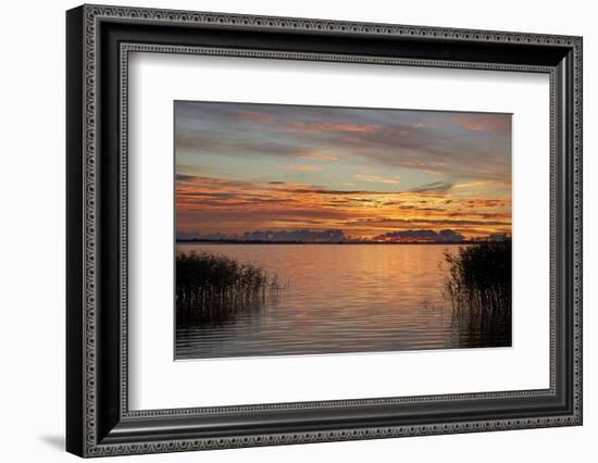 Red Sky over the Saaler Bodden Close Ahrenshoop-Uwe Steffens-Framed Photographic Print