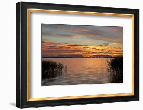 Red Sky over the Saaler Bodden Close Ahrenshoop-Uwe Steffens-Framed Photographic Print