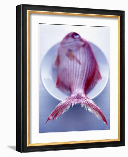Red Snapper on a Plate-Marc O^ Finley-Framed Photographic Print