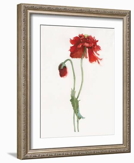 Red Somniferum-Shirley Novak-Framed Art Print