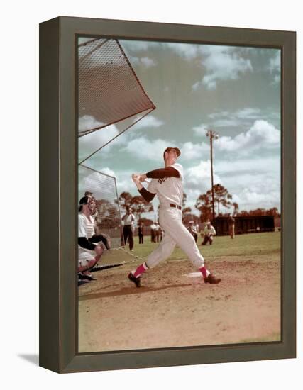 Red Sox Baseball Star Ted Williams at Bat-Frank Scherschel-Framed Premier Image Canvas