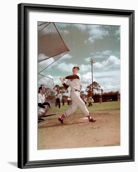 Red Sox Baseball Star Ted Williams at Bat-Frank Scherschel-Framed Premium Photographic Print