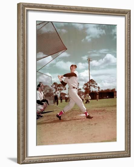 Red Sox Baseball Star Ted Williams at Bat-Frank Scherschel-Framed Premium Photographic Print