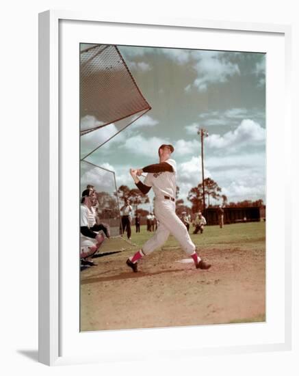 Red Sox Baseball Star Ted Williams at Bat-Frank Scherschel-Framed Premium Photographic Print