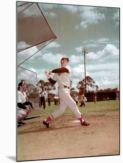 Red Sox Baseball Star Ted Williams at Bat-Frank Scherschel-Mounted Premium Photographic Print