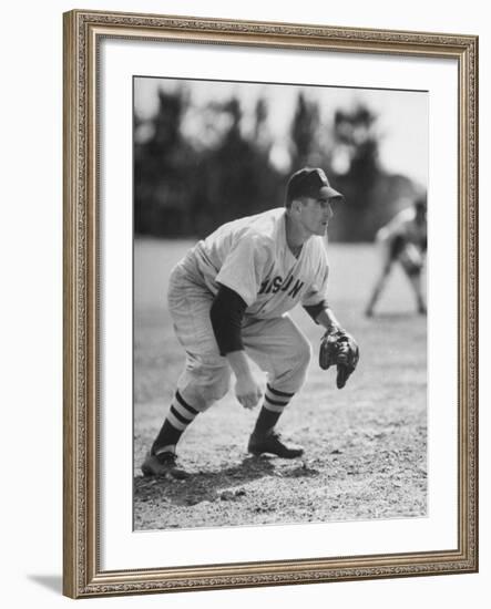 Red Sox John Pesky Getting Ready for the Hit-Frank Scherschel-Framed Premium Photographic Print